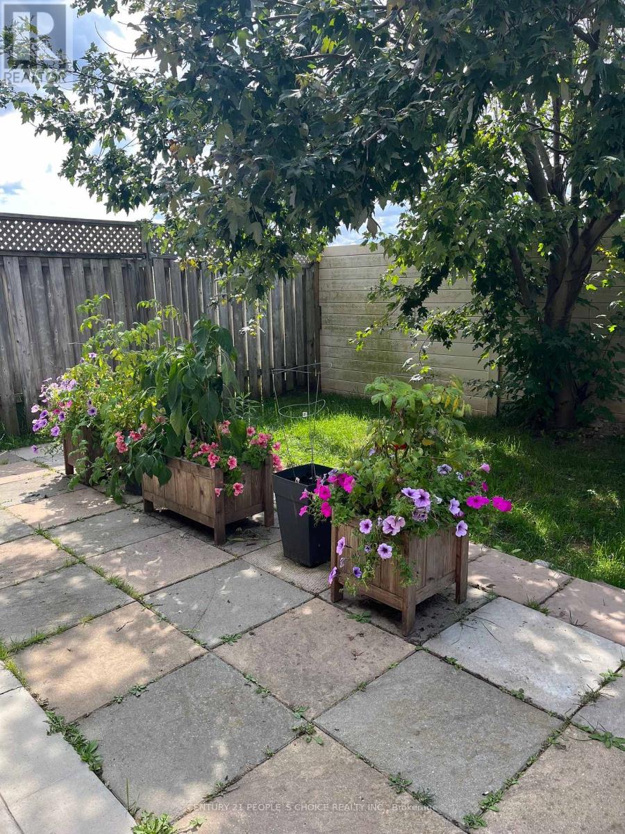 Walkout Bsmt - 383 Jay Crescent, Orangeville, Ontario  L9W 4Y7 - Photo 6 - W12801378