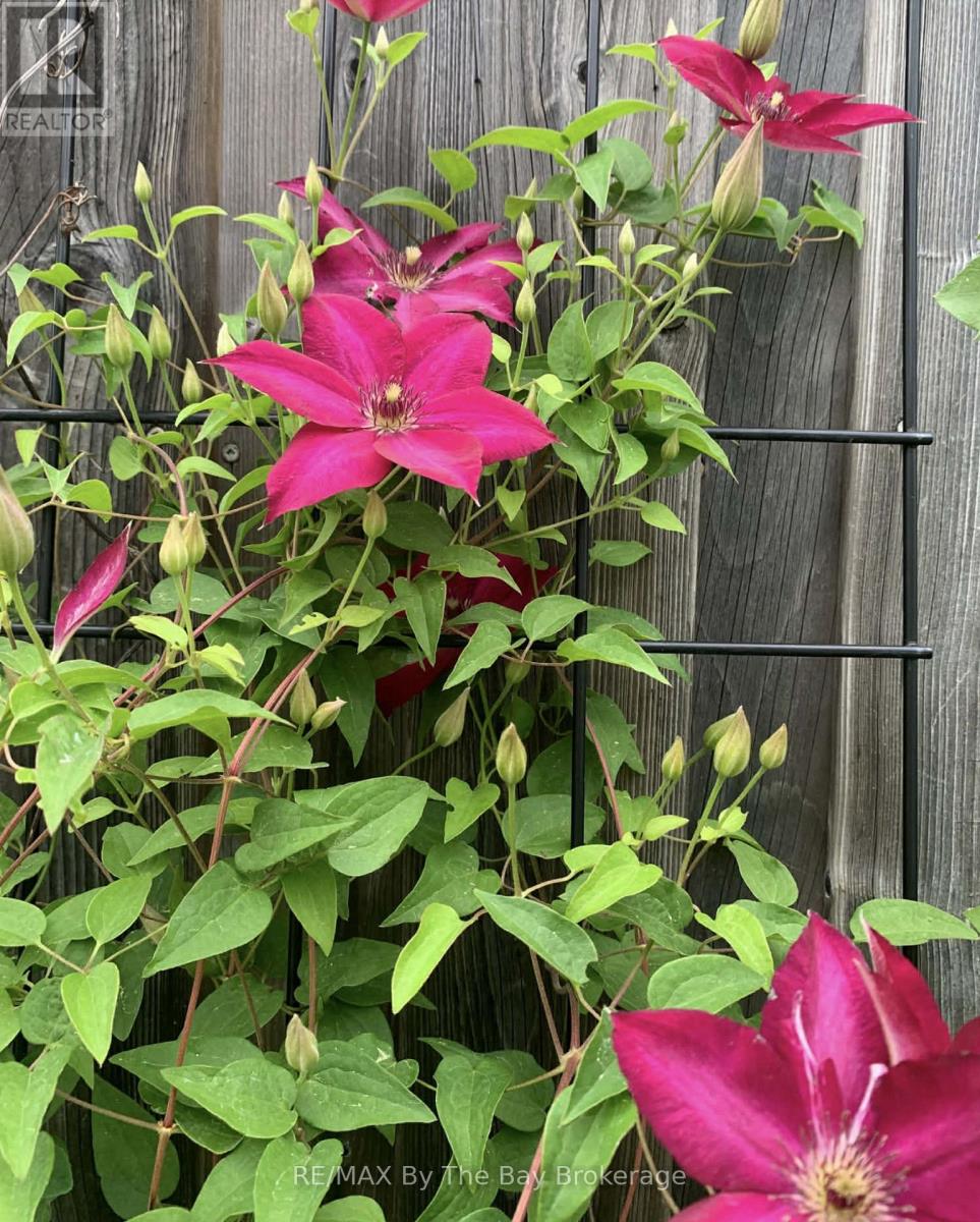 159 41st Street S, Wasaga Beach, Ontario  L9Z 2A4 - Photo 46 - S12796608