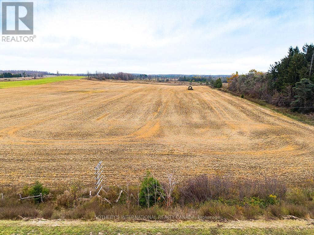 793958 Grey Road 124, Grey Highlands, Ontario  N0C 1M0 - Photo 17 - X12801440
