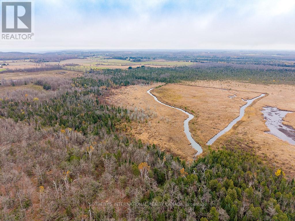 793958 Grey Road 124, Grey Highlands, Ontario  N0C 1M0 - Photo 21 - X12801440