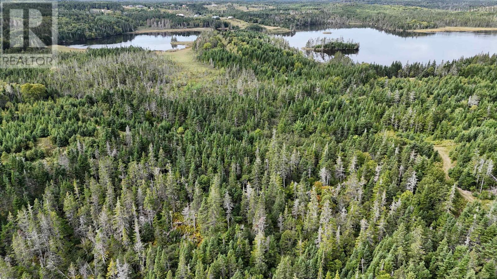 1757 St Peters Fourchu Road, Grand River, Nova Scotia  B0E 1M0 - Photo 49 - 202603034