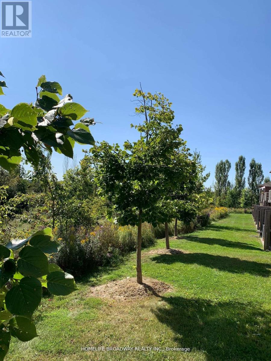 720 Wendy Culbert Crescent, Newmarket, Ontario  L3X 0A4 - Photo 19 - N12801870