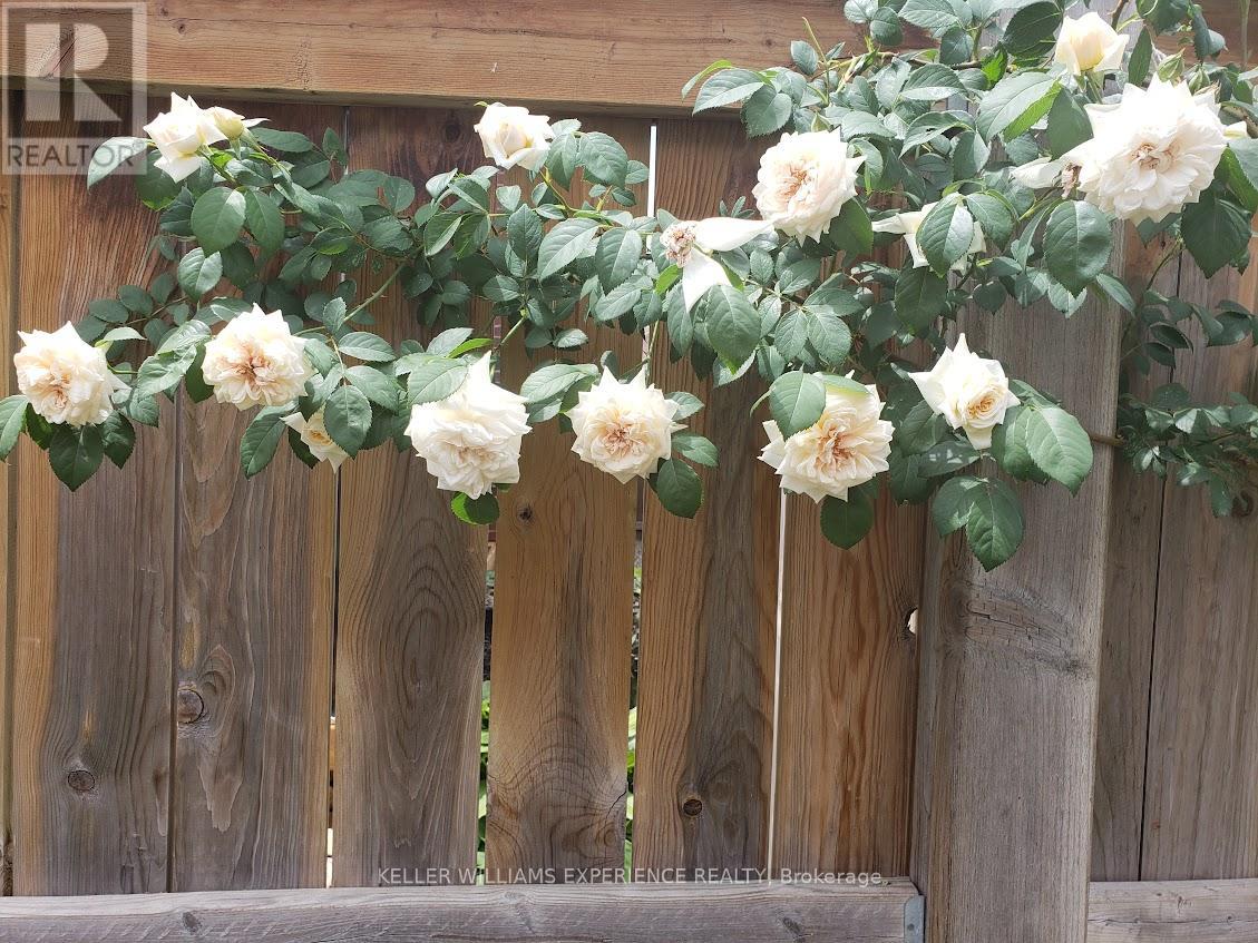 14 Charlemagne Avenue, Barrie (Innis-Shore), Ontario  L4M 0A9 - Photo 28 - S12801934