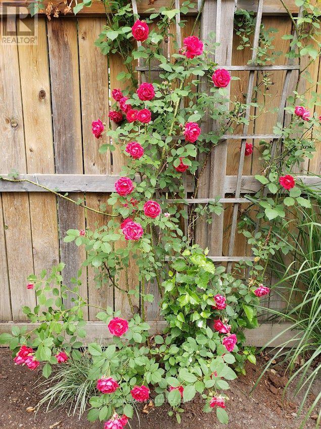 14 Charlemagne Avenue, Barrie (Innis-Shore), Ontario  L4M 0A9 - Photo 29 - S12801934