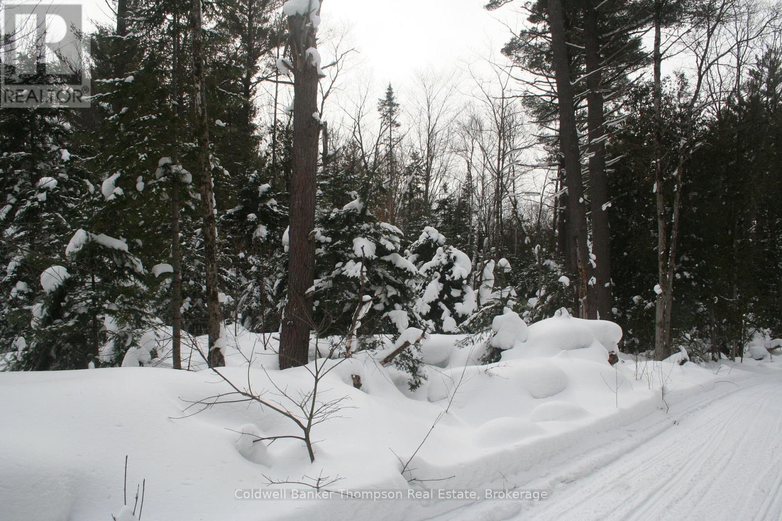 0 Pt Lt 29 Con 10, Huntsville, Ontario  P1H 2J3 - Photo 10 - X12801986