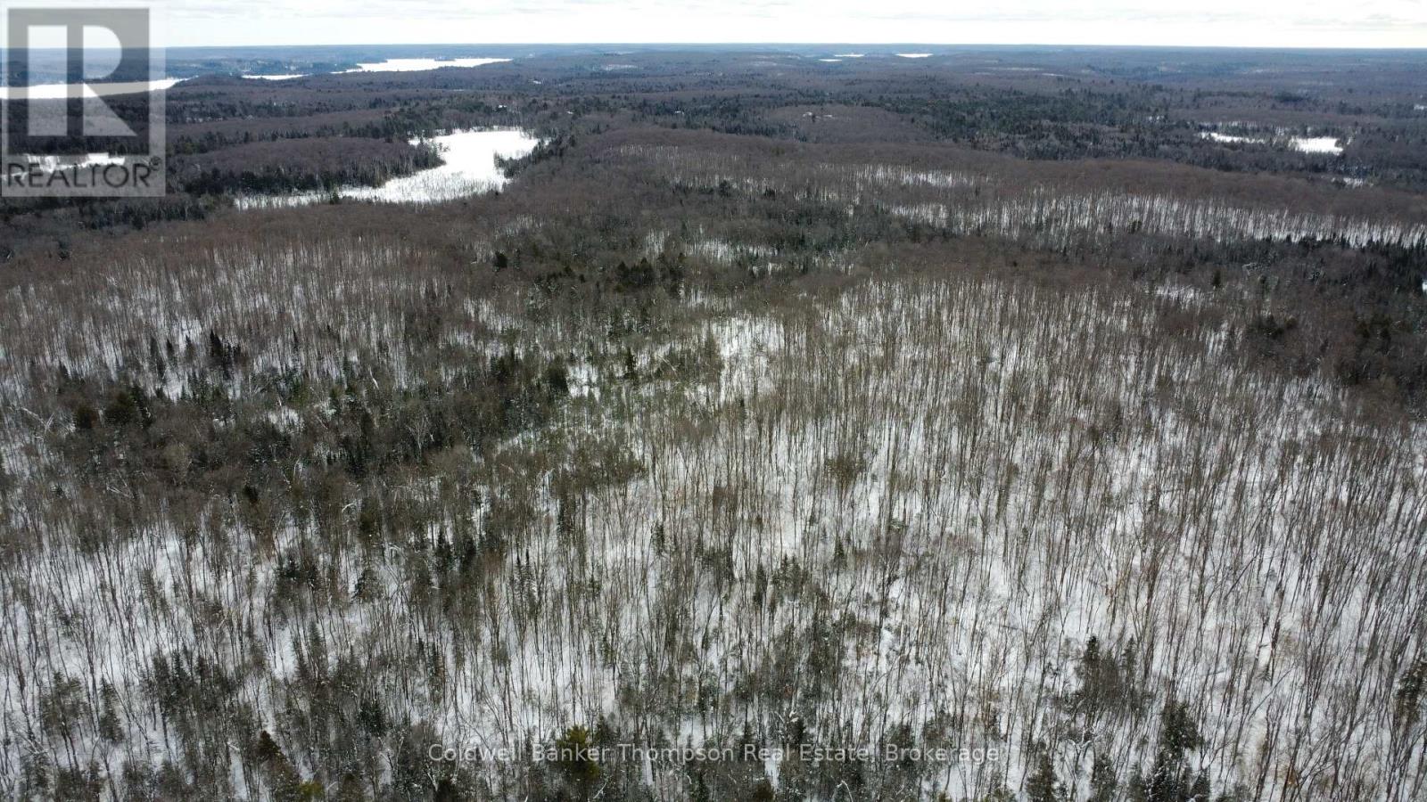 0 Pt Lt 29 Con 10, Huntsville, Ontario  P1H 2J3 - Photo 13 - X12801986