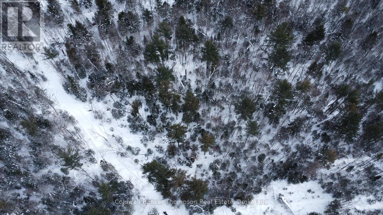 0 Pt Lt 29 Con 10, Huntsville, Ontario  P1H 2J3 - Photo 16 - X12801986