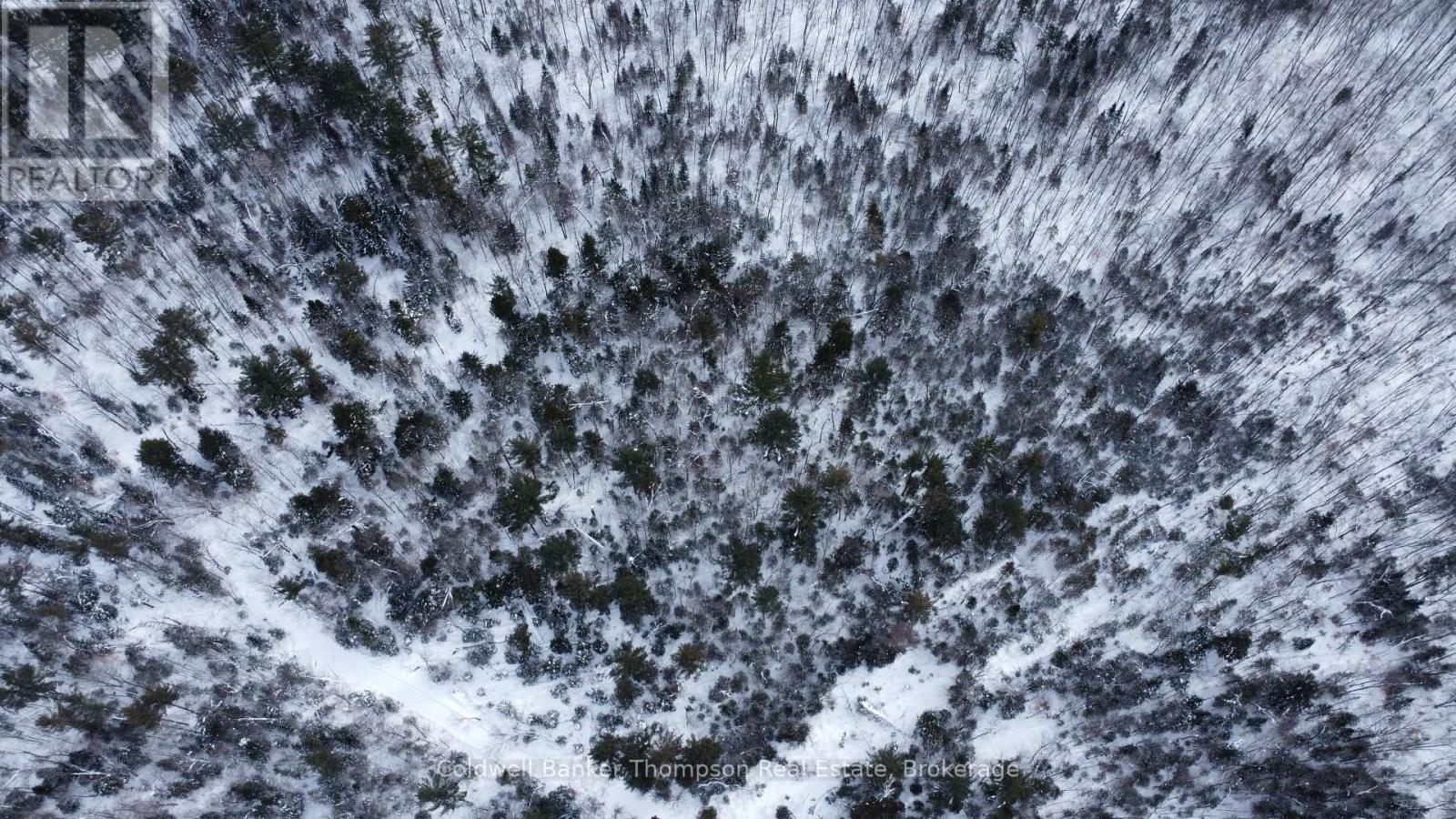 0 Pt Lt 29 Con 10, Huntsville, Ontario  P1H 2J3 - Photo 17 - X12801986