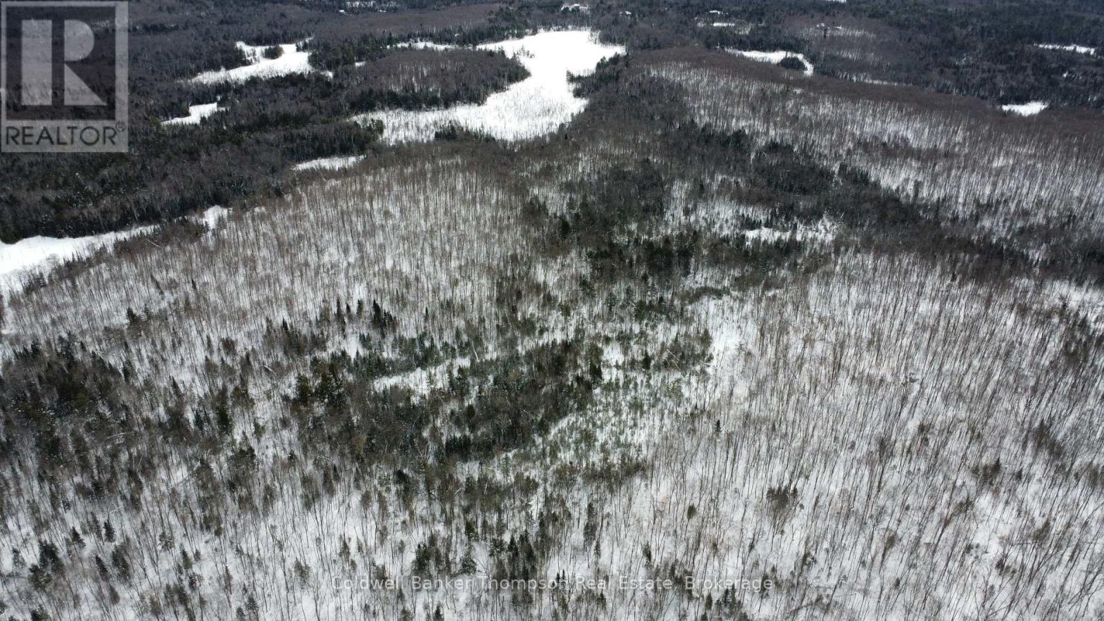 0 Pt Lt 29 Con 10, Huntsville, Ontario  P1H 2J3 - Photo 18 - X12801986