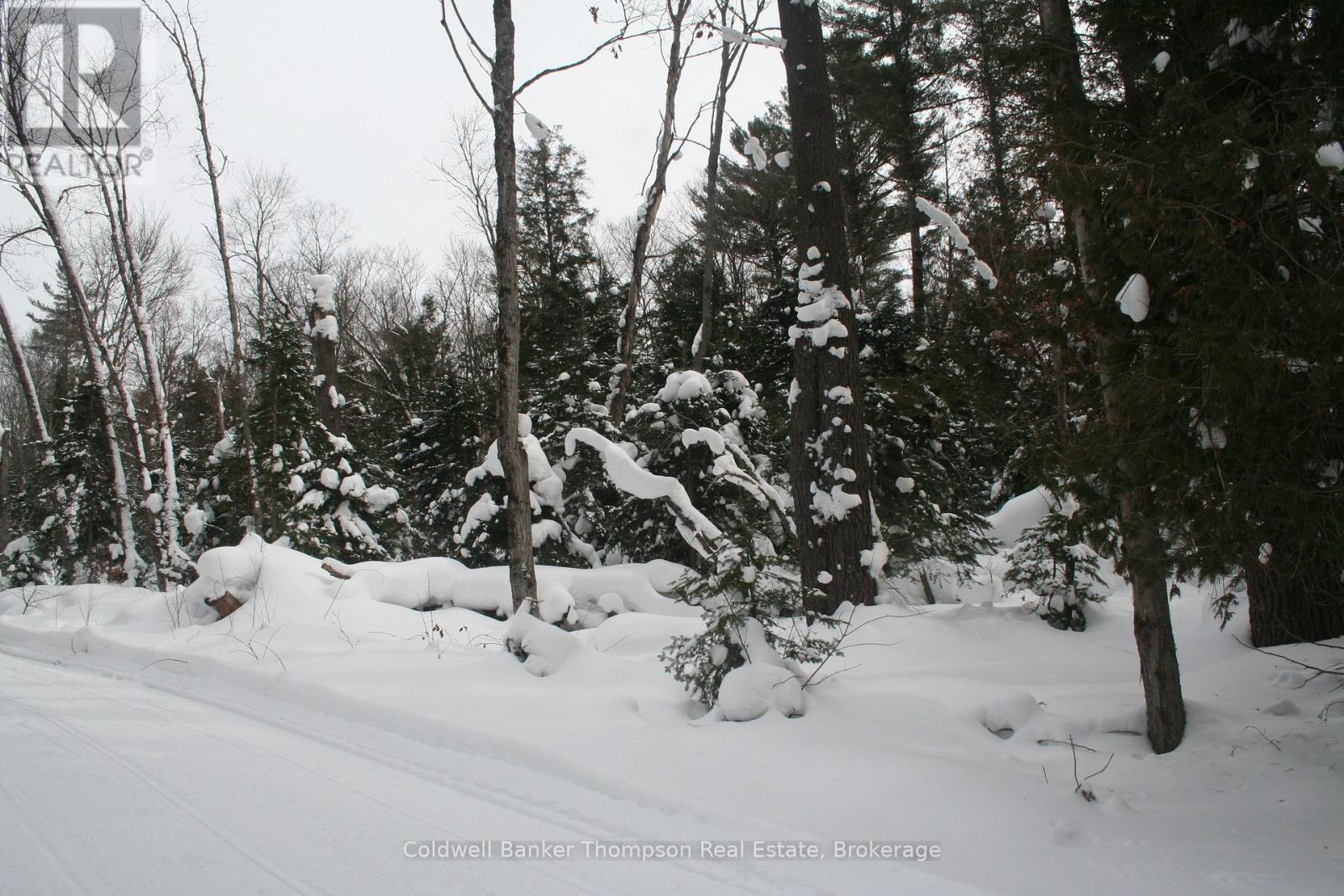 0 Pt Lt 29 Con 10, Huntsville, Ontario  P1H 2J3 - Photo 2 - X12801986