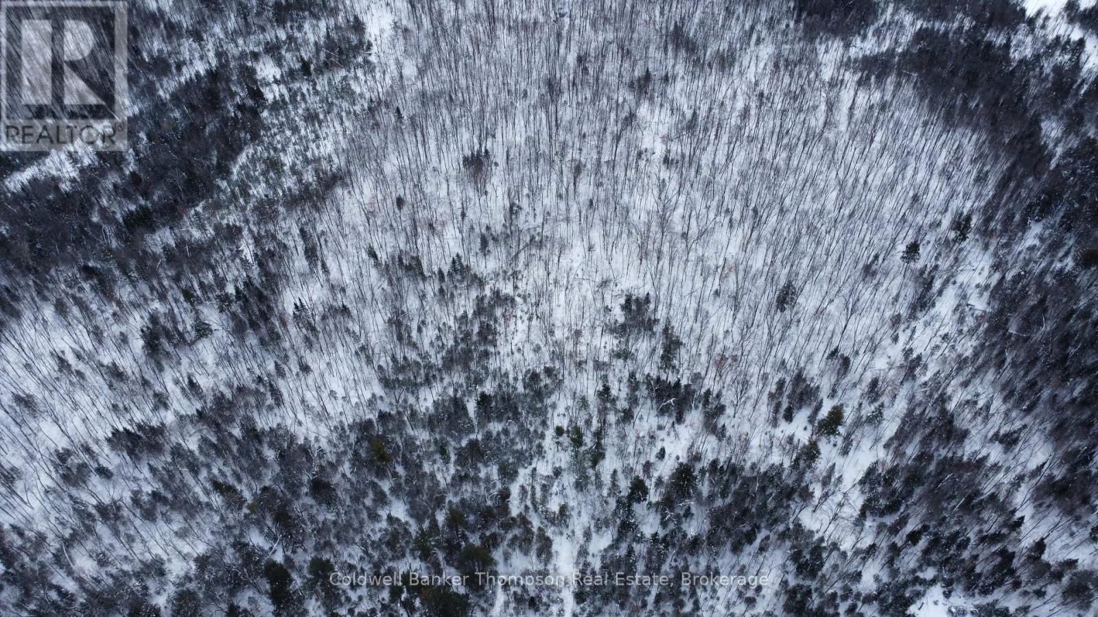 0 Pt Lt 29 Con 10, Huntsville, Ontario  P1H 2J3 - Photo 22 - X12801986