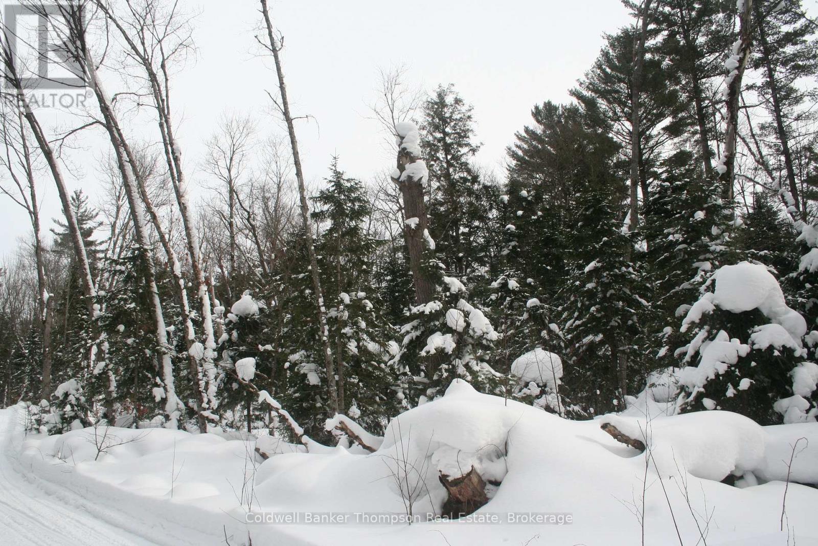 0 Pt Lt 29 Con 10, Huntsville, Ontario  P1H 2J3 - Photo 4 - X12801986