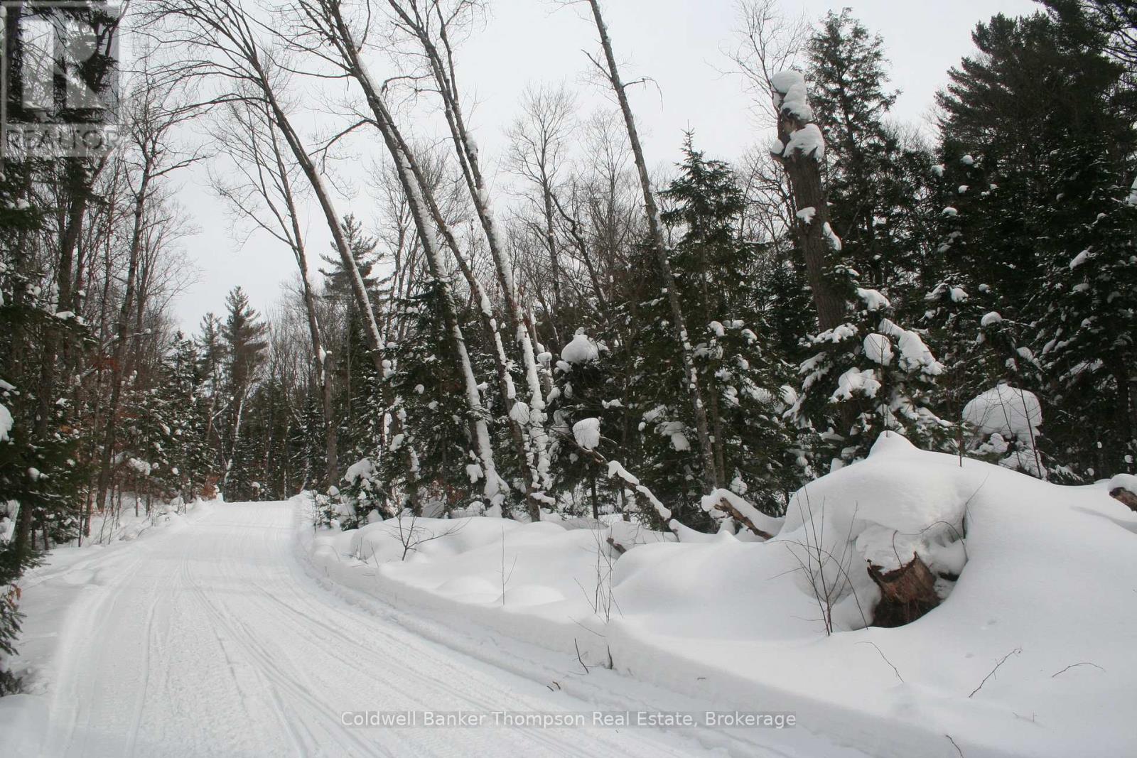 0 Pt Lt 29 Con 10, Huntsville, Ontario  P1H 2J3 - Photo 5 - X12801986