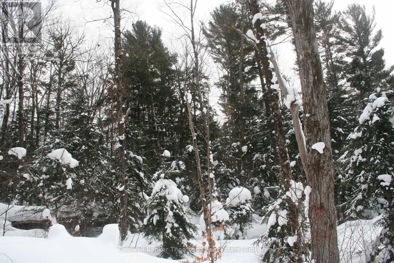 0 Pt Lt 29 Con 10, Huntsville, Ontario  P1H 2J3 - Photo 6 - X12801986