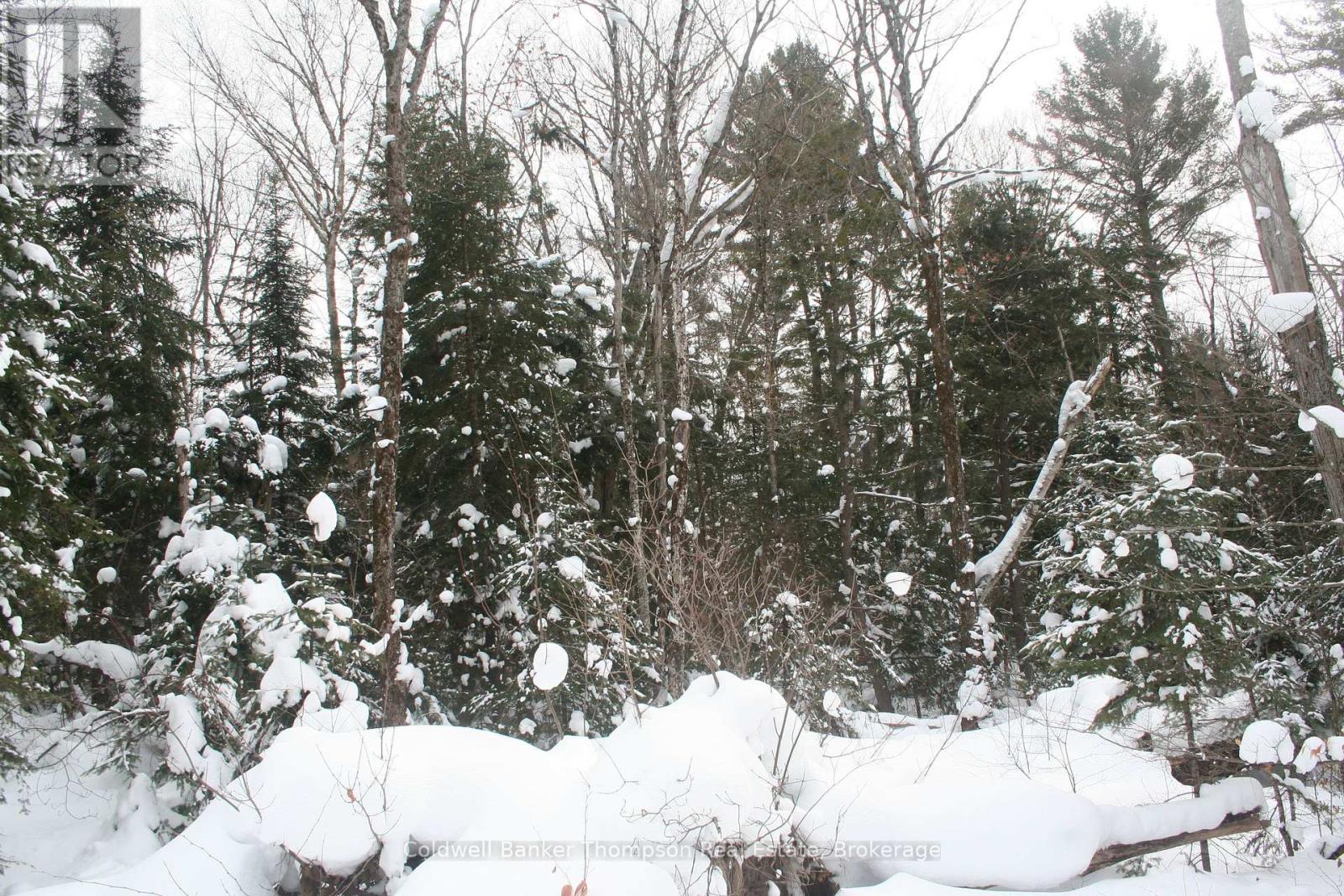 0 Pt Lt 29 Con 10, Huntsville, Ontario  P1H 2J3 - Photo 7 - X12801986