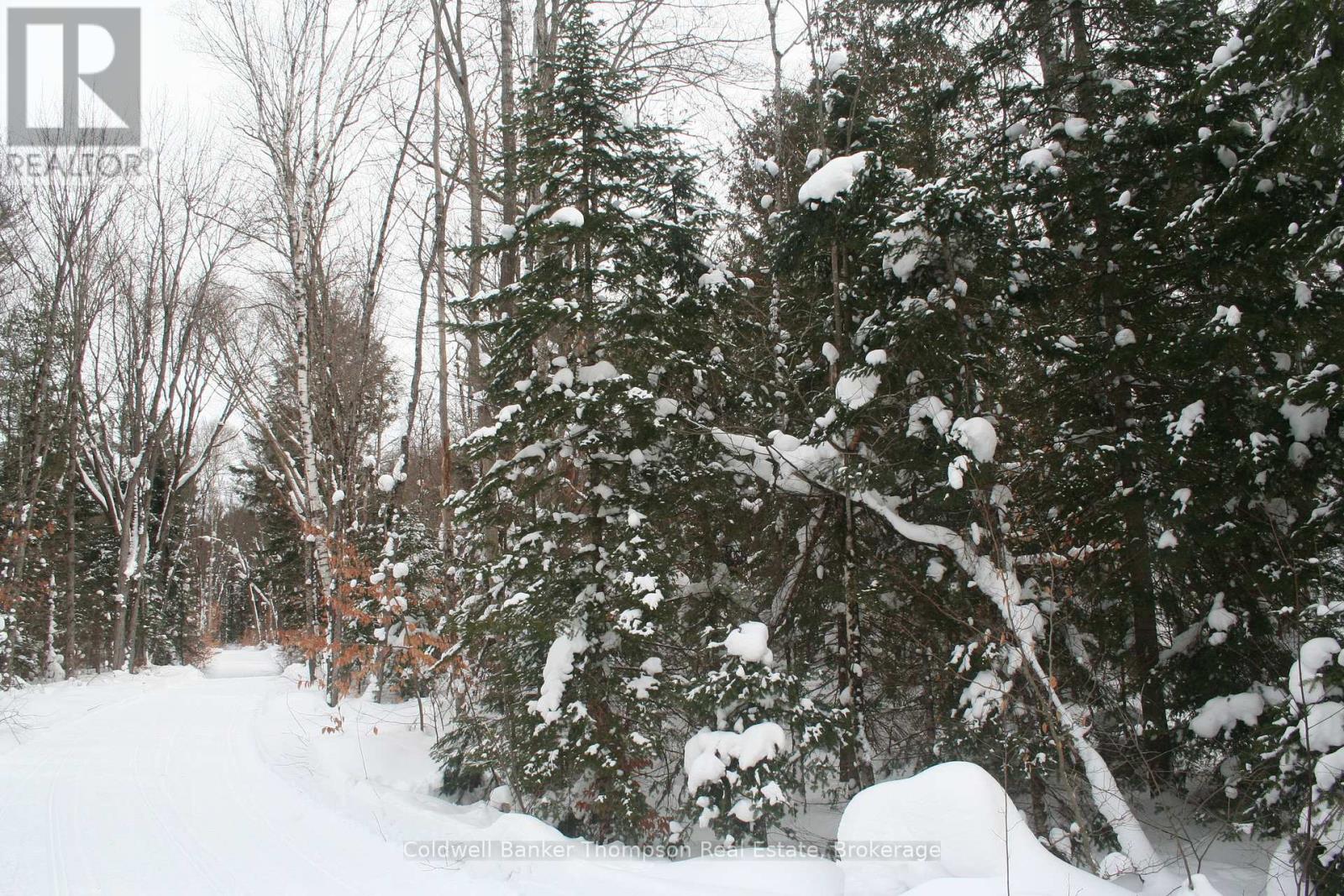 0 Pt Lt 29 Con 10, Huntsville, Ontario  P1H 2J3 - Photo 8 - X12801986