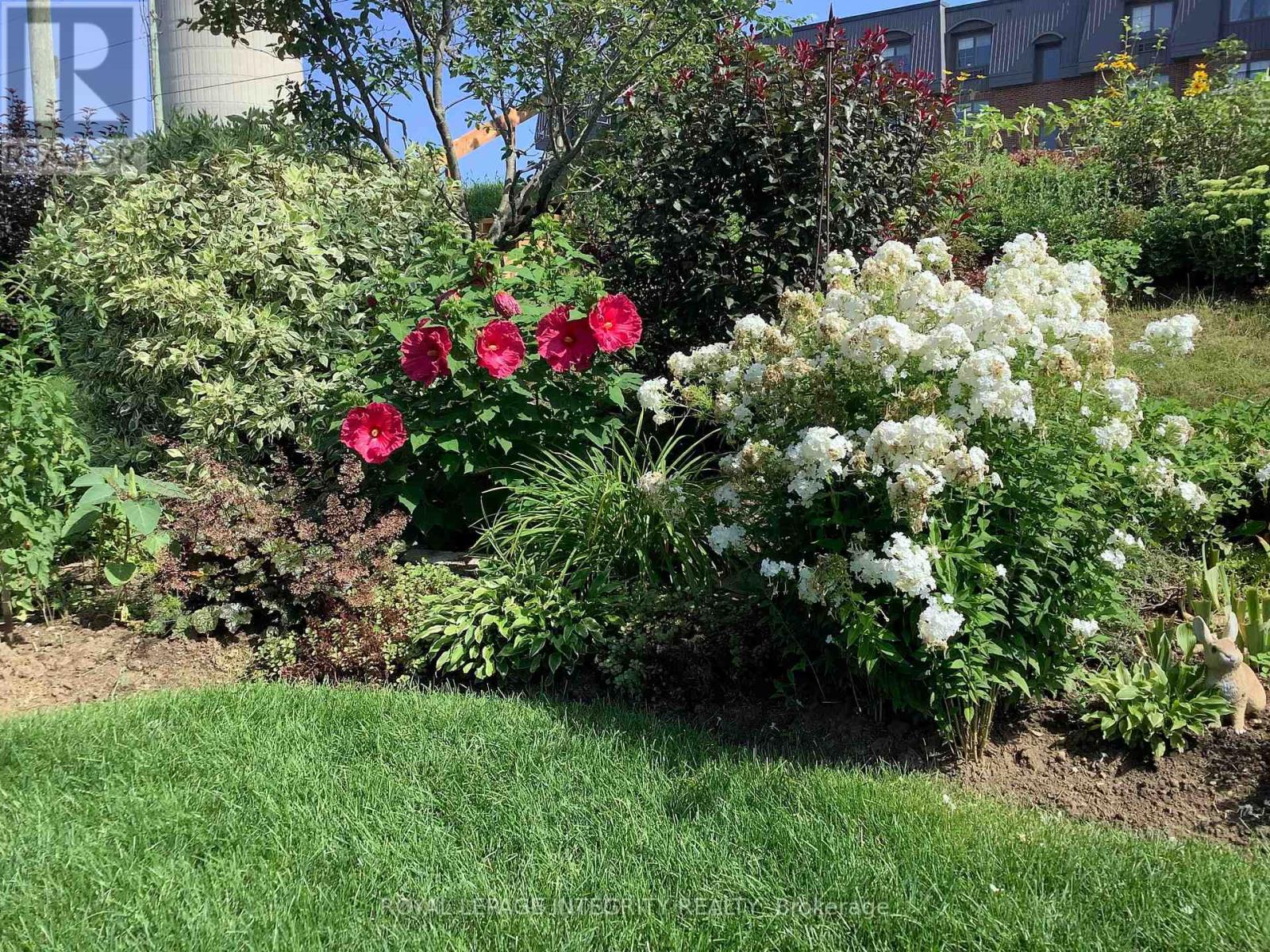 59 Johanna Street, Mississippi Mills, Ontario  K0A 1A0 - Photo 34 - X12802148