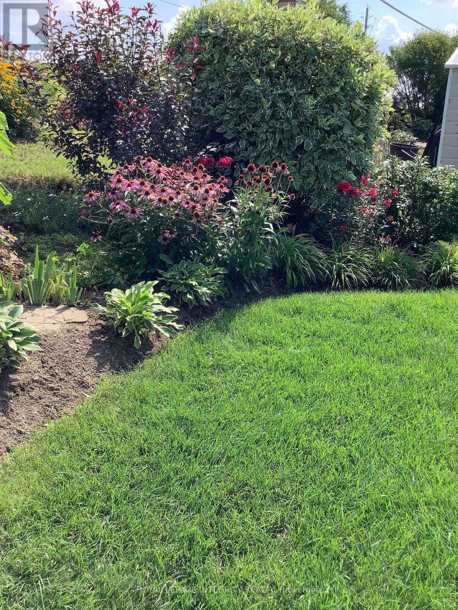 59 Johanna Street, Mississippi Mills, Ontario  K0A 1A0 - Photo 35 - X12802148