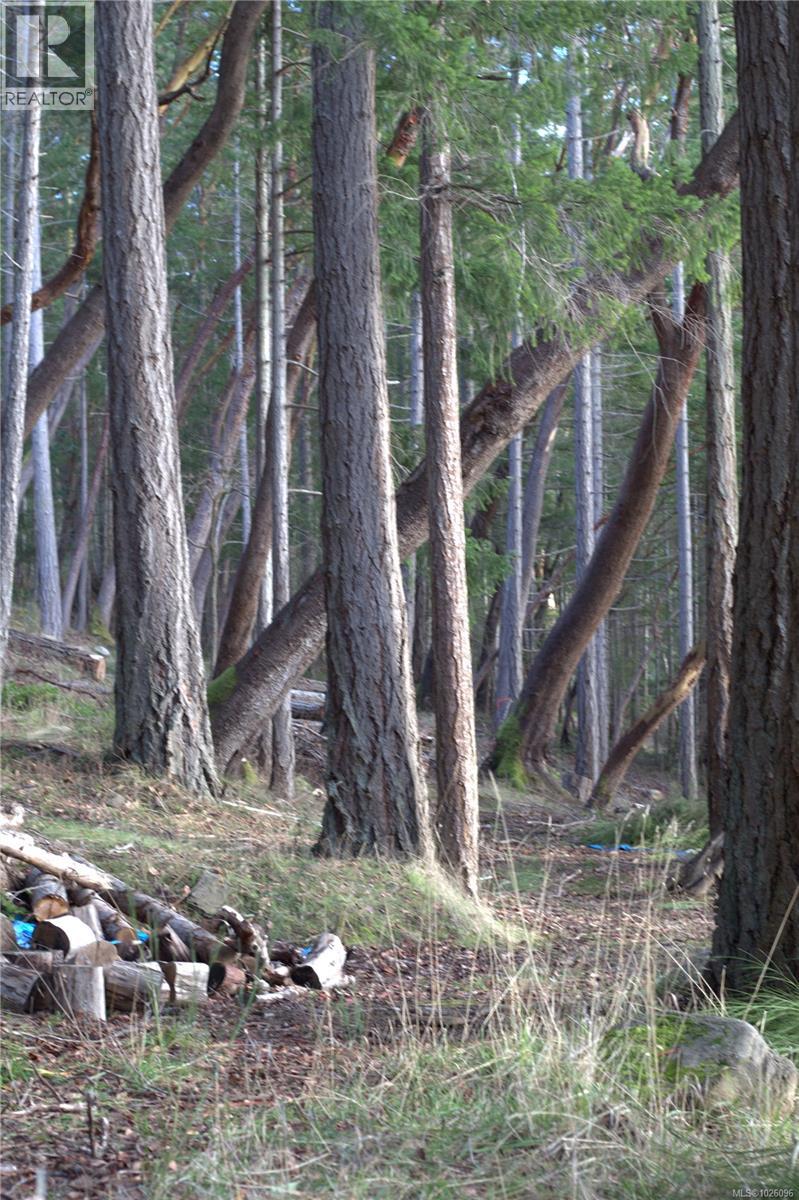 171 Mcgill Rd, Salt Spring, British Columbia  V8K 1E3 - Photo 13 - 1026096