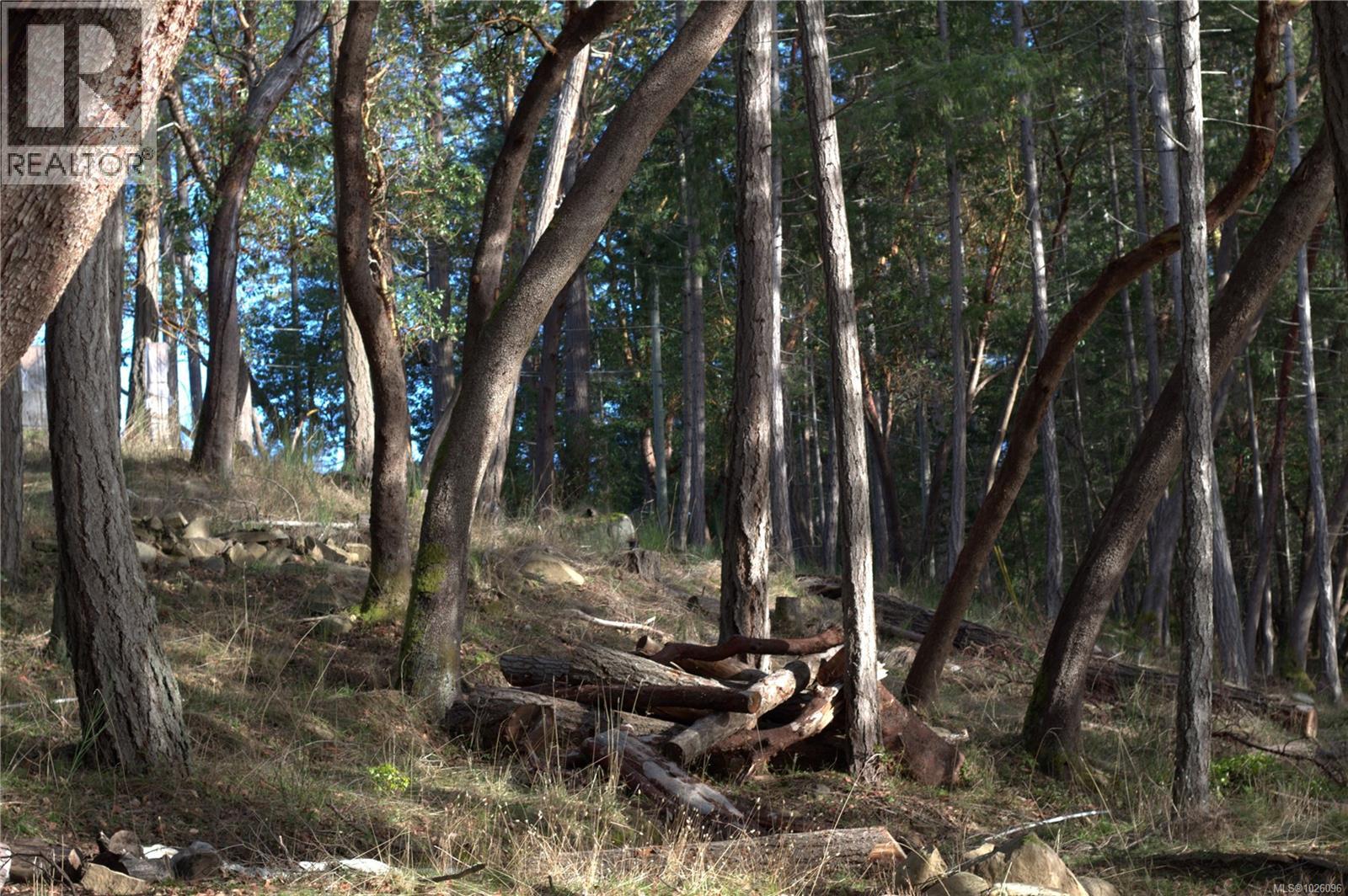 171 Mcgill Rd, Salt Spring, British Columbia  V8K 1E3 - Photo 14 - 1026096