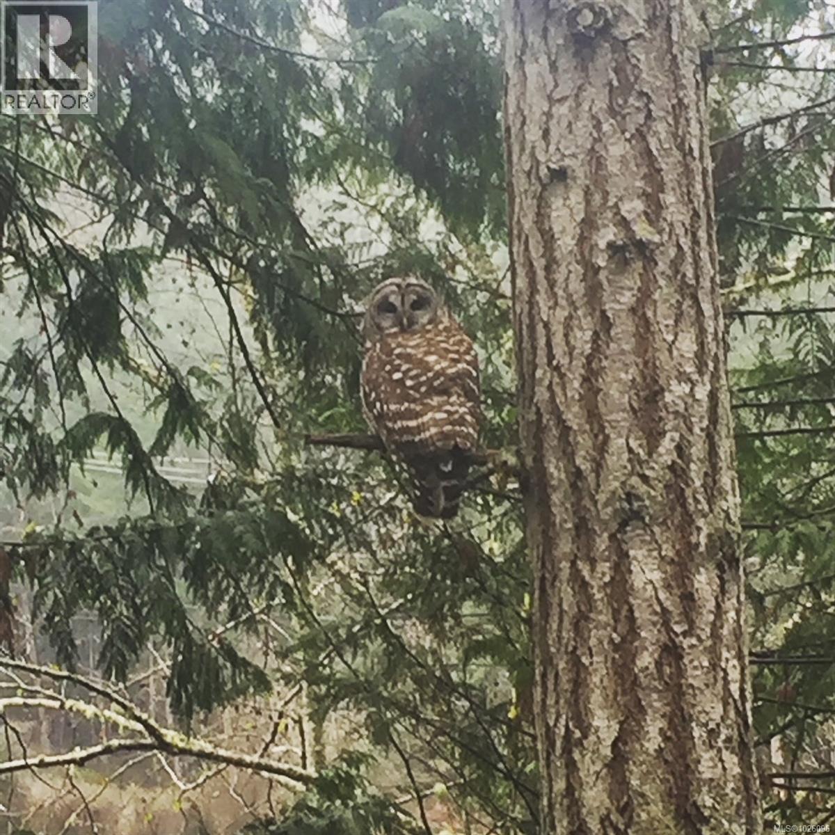 171 Mcgill Rd, Salt Spring, British Columbia  V8K 1E3 - Photo 9 - 1026096