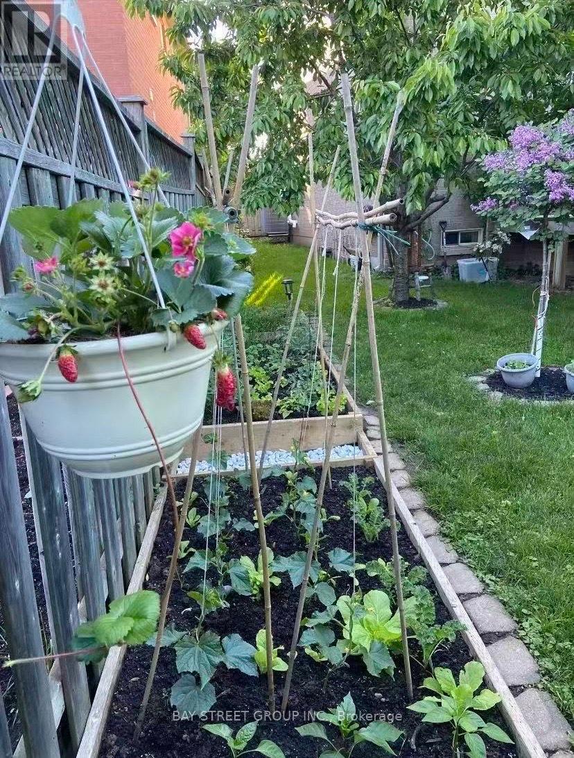 10 Kimono Crescent, Richmond Hill (Rouge Woods), Ontario  L4S 1X5 - Photo 42 - N12800790