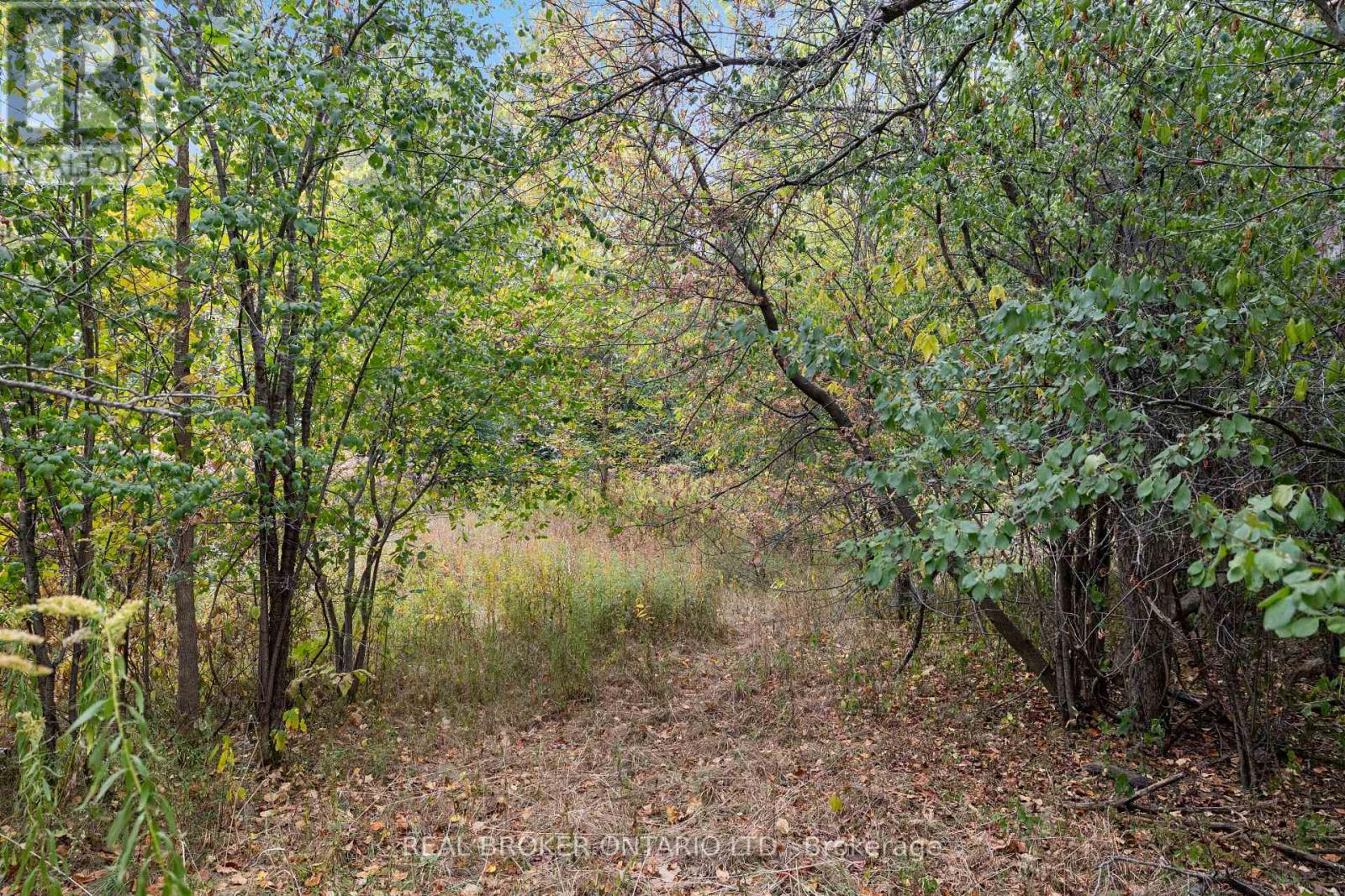 2099 County  20 Road, North Grenville, Ontario  K0G 1T0 - Photo 34 - X12802404