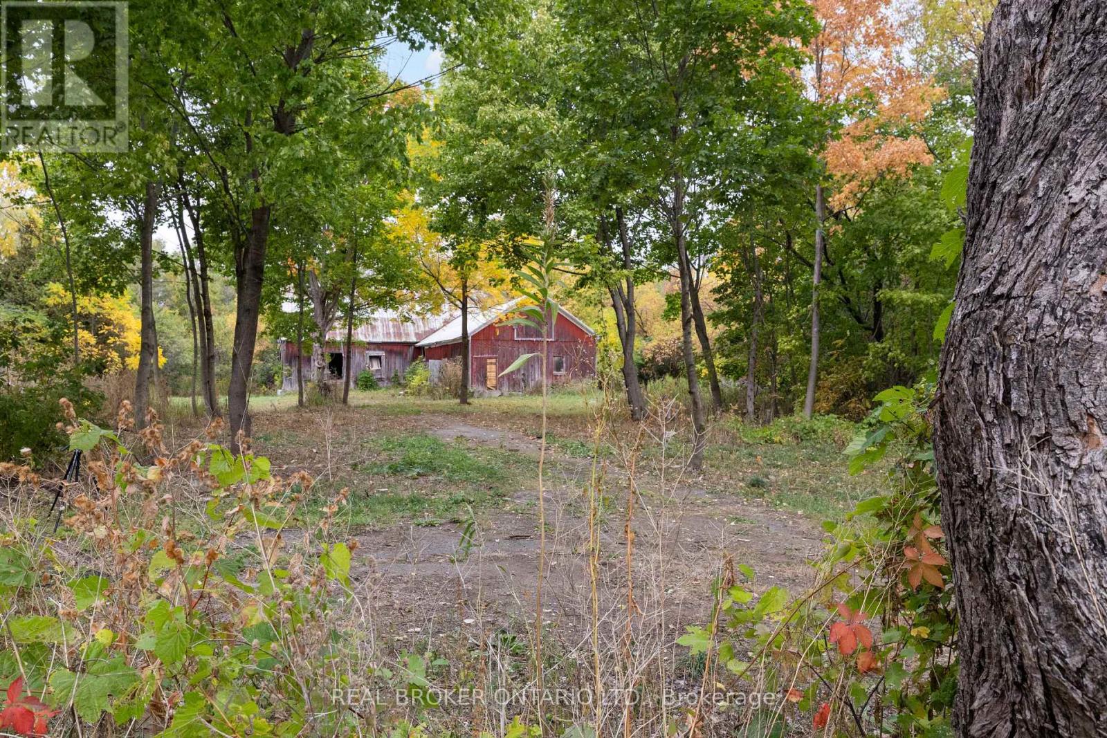 2099 County  20 Road, North Grenville, Ontario  K0G 1T0 - Photo 4 - X12802404