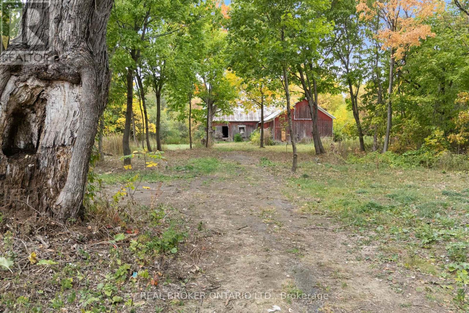 2099 County  20 Road, North Grenville, Ontario  K0G 1T0 - Photo 8 - X12802404