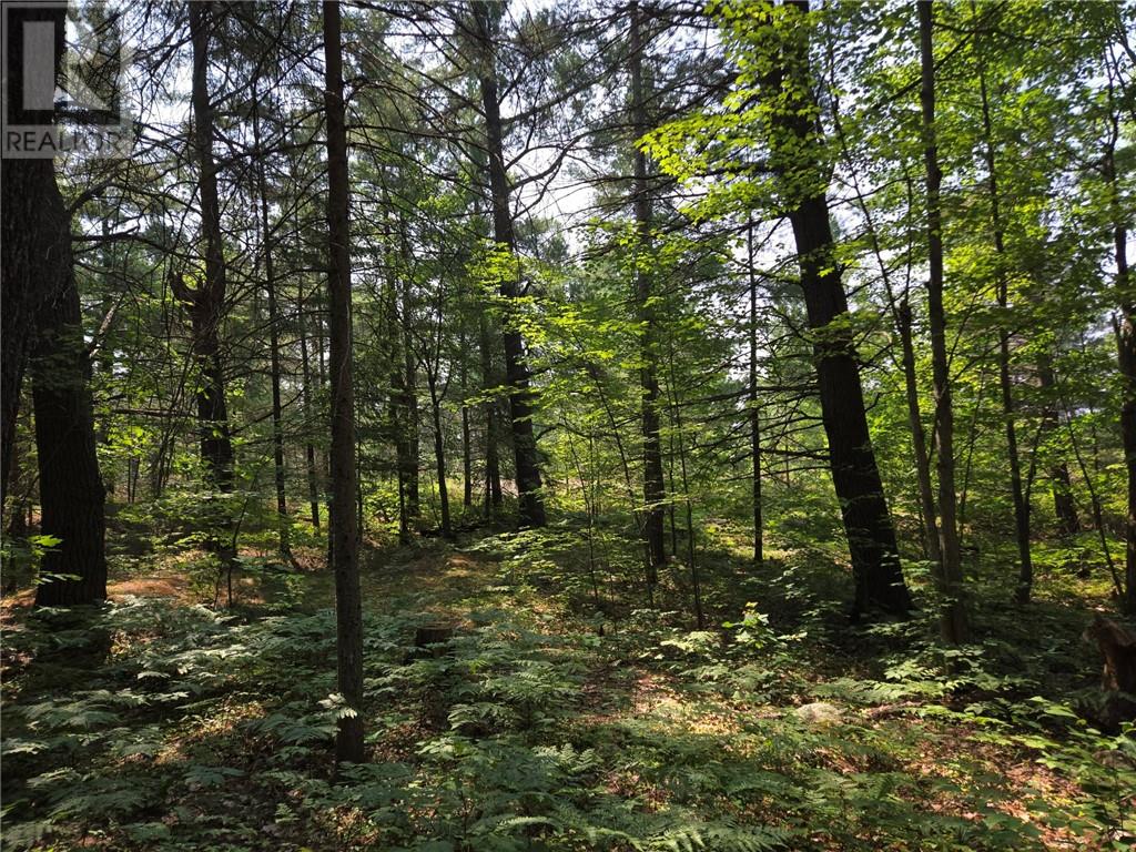 2062b Highway 64, Alban, Ontario  P0M 1A0 - Photo 3 - 2126288