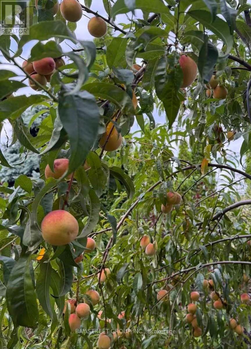 10 Kimono Crescent, Richmond Hill (Rouge Woods), Ontario  L4S 1X5 - Photo 41 - N12800790