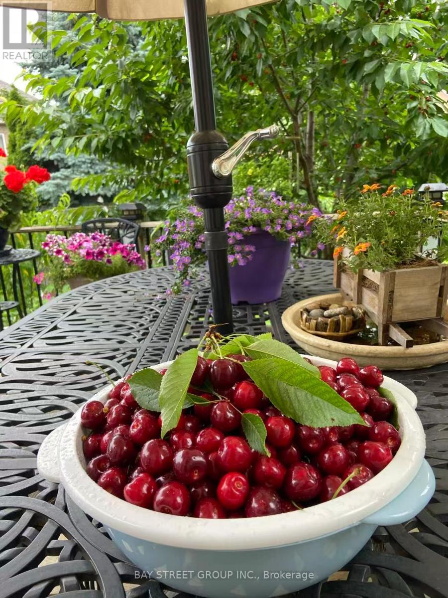 10 Kimono Crescent, Richmond Hill (Rouge Woods), Ontario  L4S 1X5 - Photo 43 - N12800790