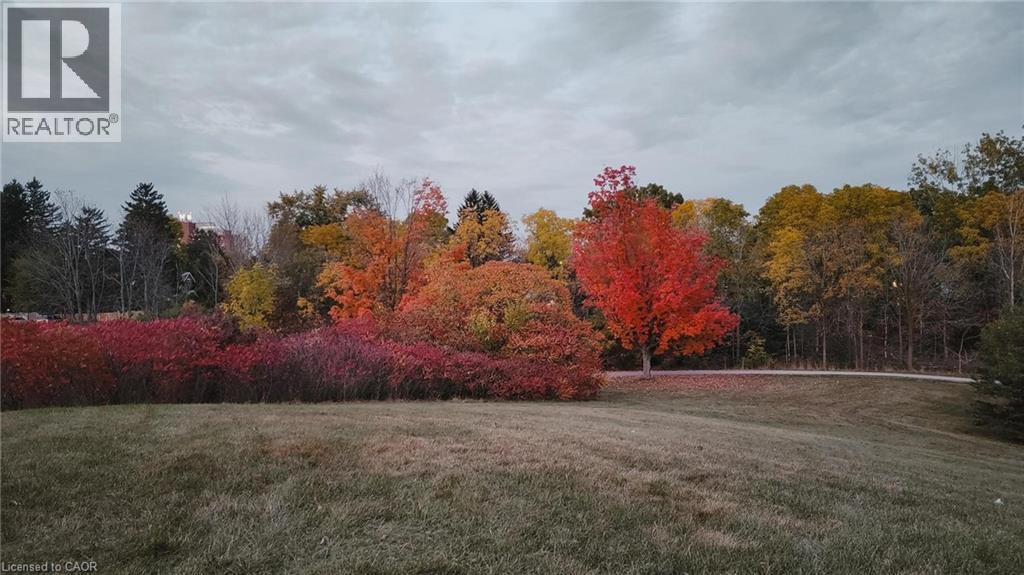 1085 Queen's Boulevard Unit# 6, Kitchener, Ontario  N2M 1B9 - Photo 24 - 40806294