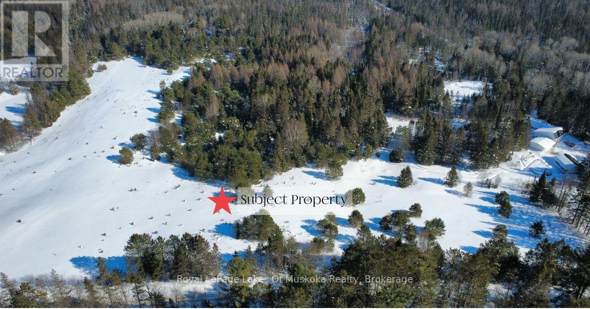 397 Relative Road, Armour, Ontario P0A 1C0 - Photo 3 - X12466404