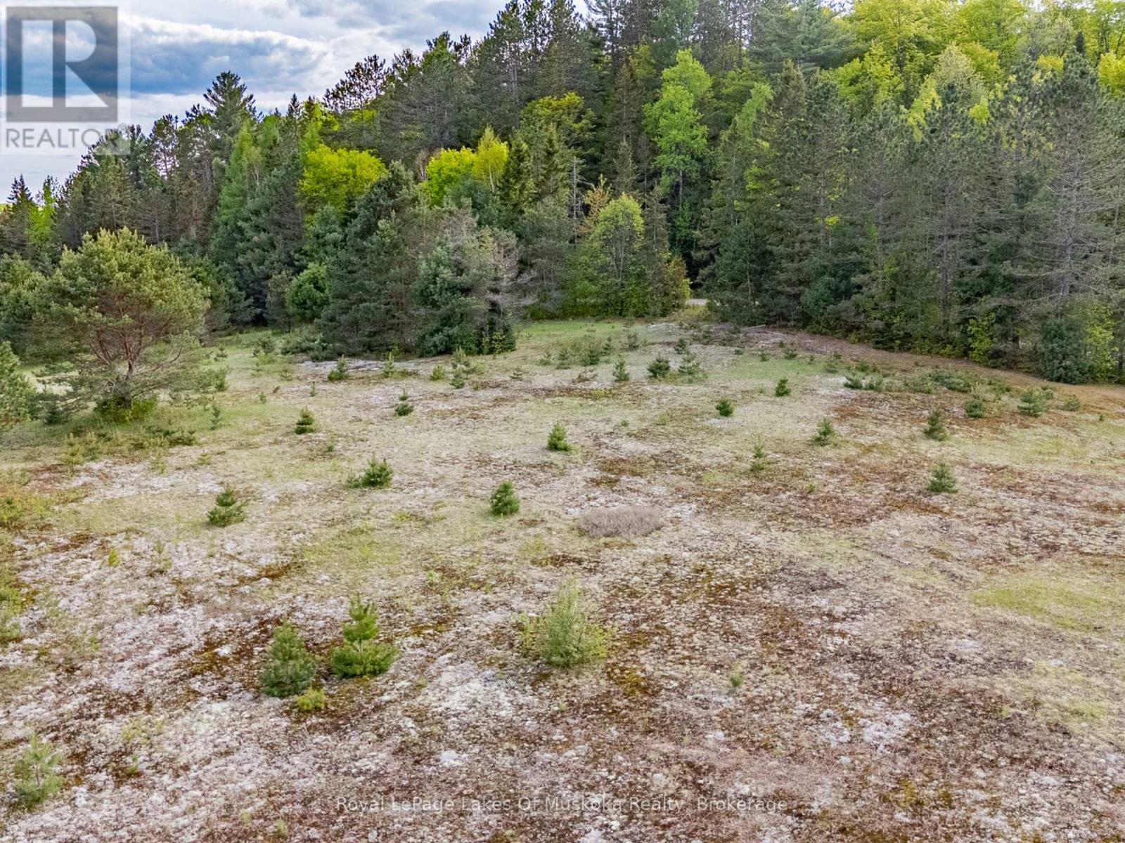 397 Relative Road, Armour, Ontario P0A 1C0 - Photo 11 - X12466404