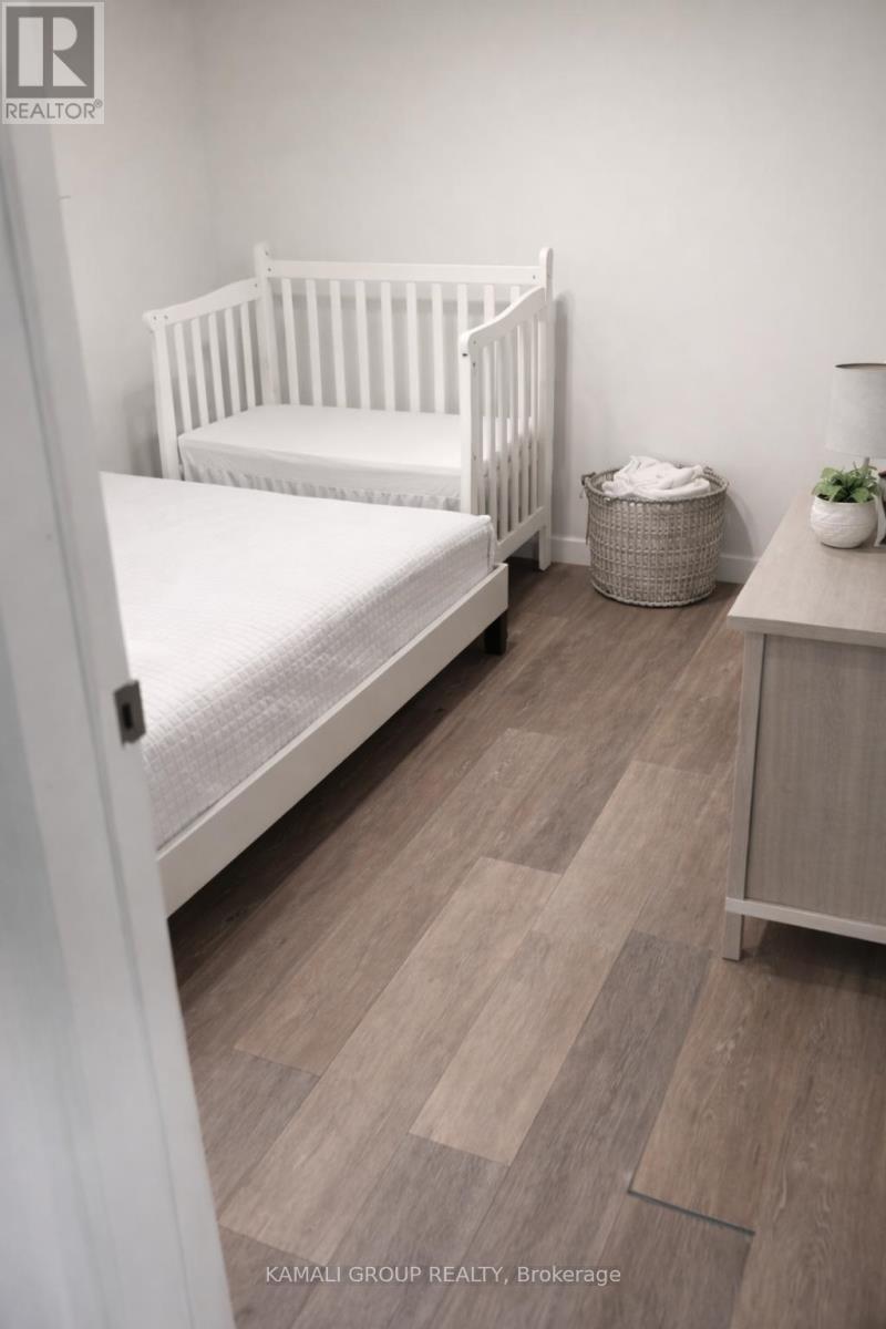 Bsmt - 46 Centre Street E, Richmond Hill, Ontario  L4C 1A4 - Photo 7 - N12802576