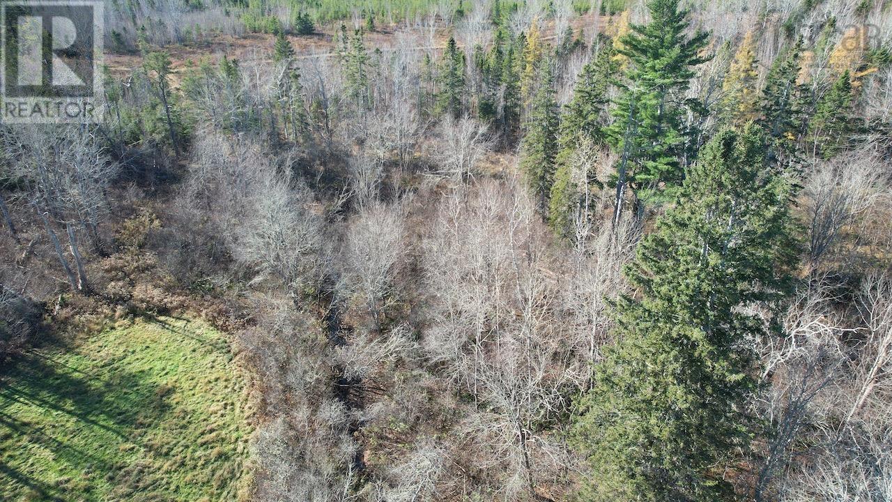 Mount Pleasant Road, Oxford, Nova Scotia  B0M 1P0 - Photo 4 - 202603059