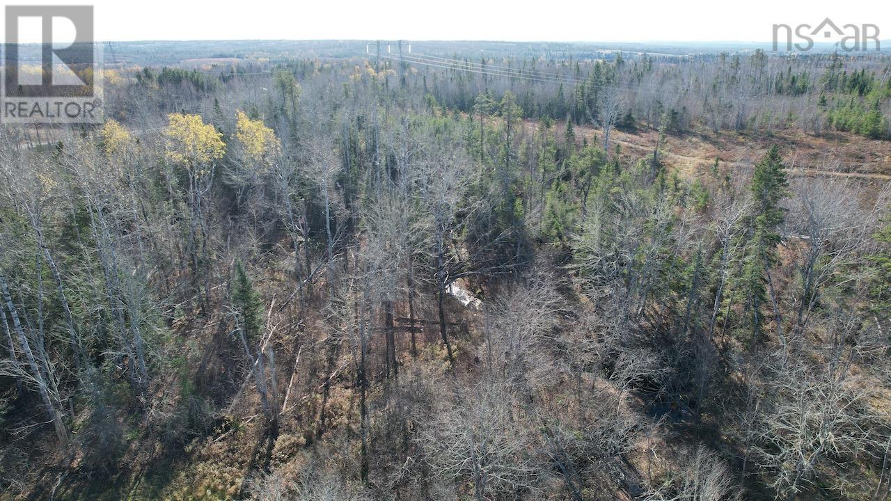 Mount Pleasant Road, Oxford, Nova Scotia  B0M 1P0 - Photo 7 - 202603059