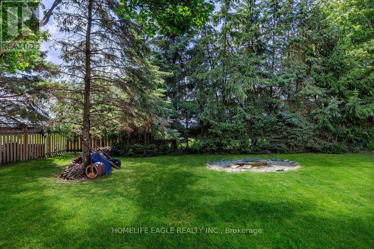 19280 Dufferin Street, King, Ontario  L3Y 4V9 - Photo 22 - N12802682