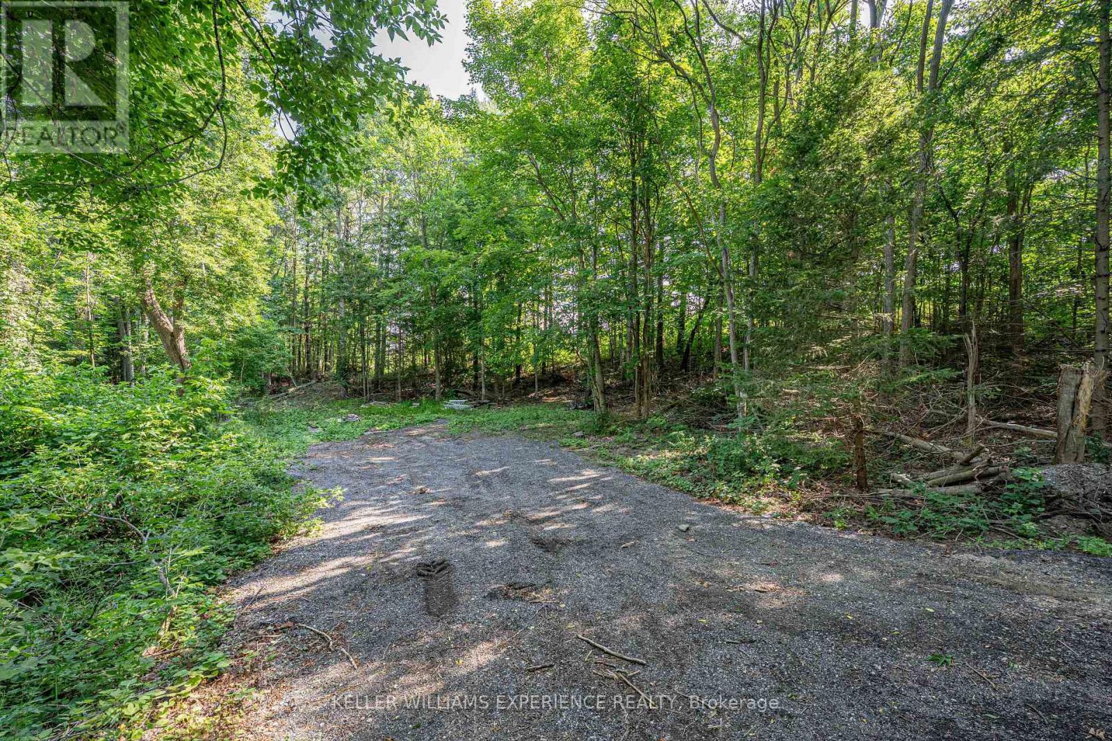 8294 County 27 Road, Essa, Ontario  L4N 9C4 - Photo 12 - N12802730