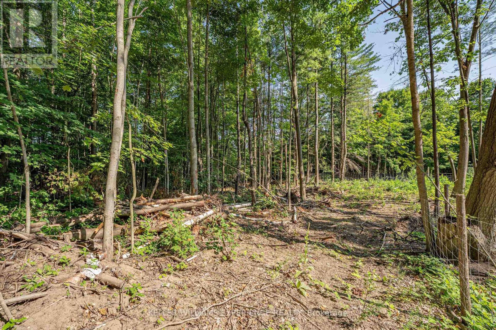 8294 County 27 Road, Essa, Ontario  L4N 9C4 - Photo 29 - N12802730