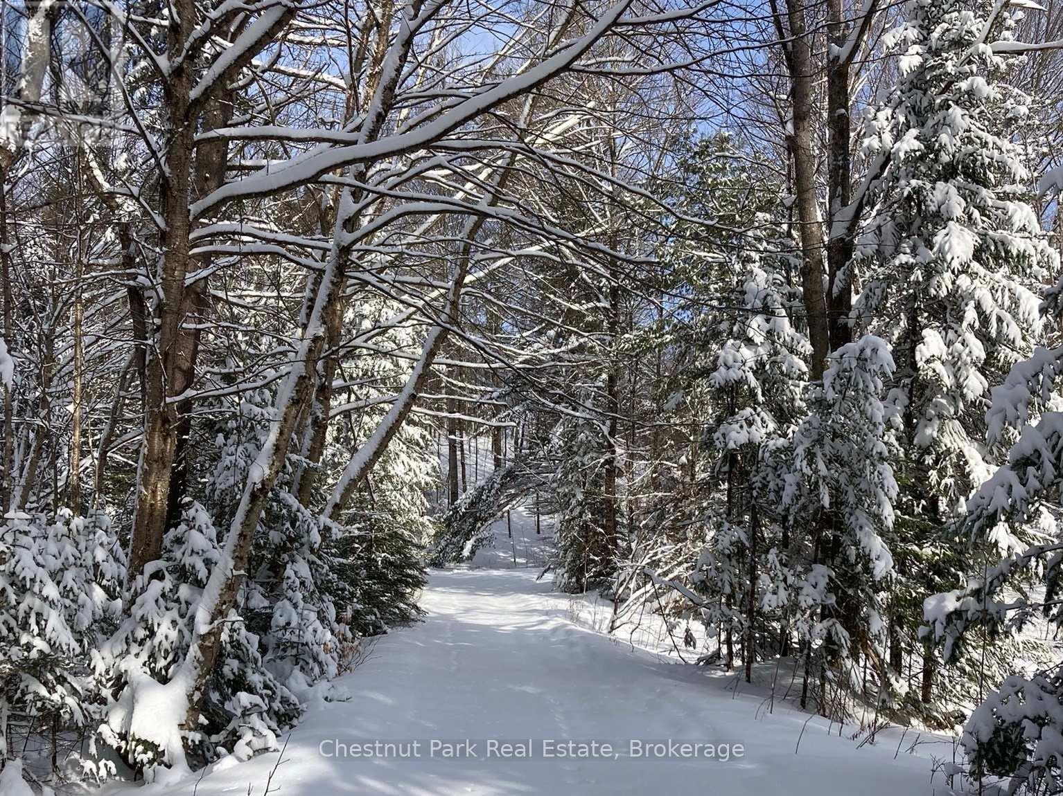 28 - 8 William James Court, Dysart Et Al, Ontario K0M 1S0 - Photo 47 - X12802878