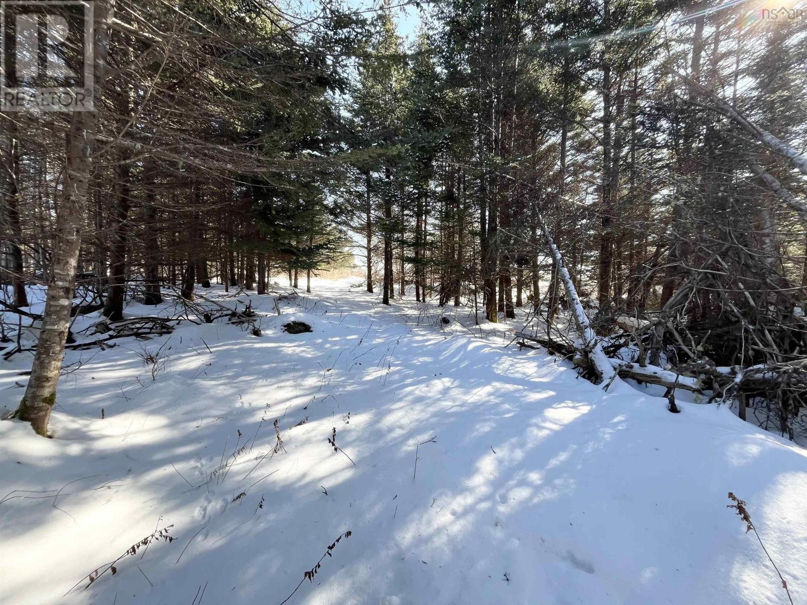 46 Shag Harbour Station Road, Shag Harbour, Nova Scotia  B0W 3B0 - Photo 12 - 202603064