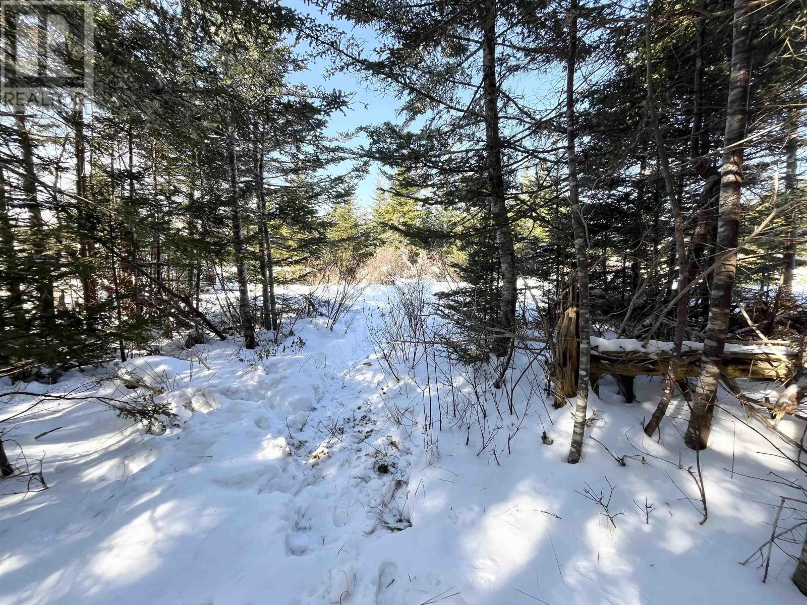 46 Shag Harbour Station Road, Shag Harbour, Nova Scotia  B0W 3B0 - Photo 11 - 202603064