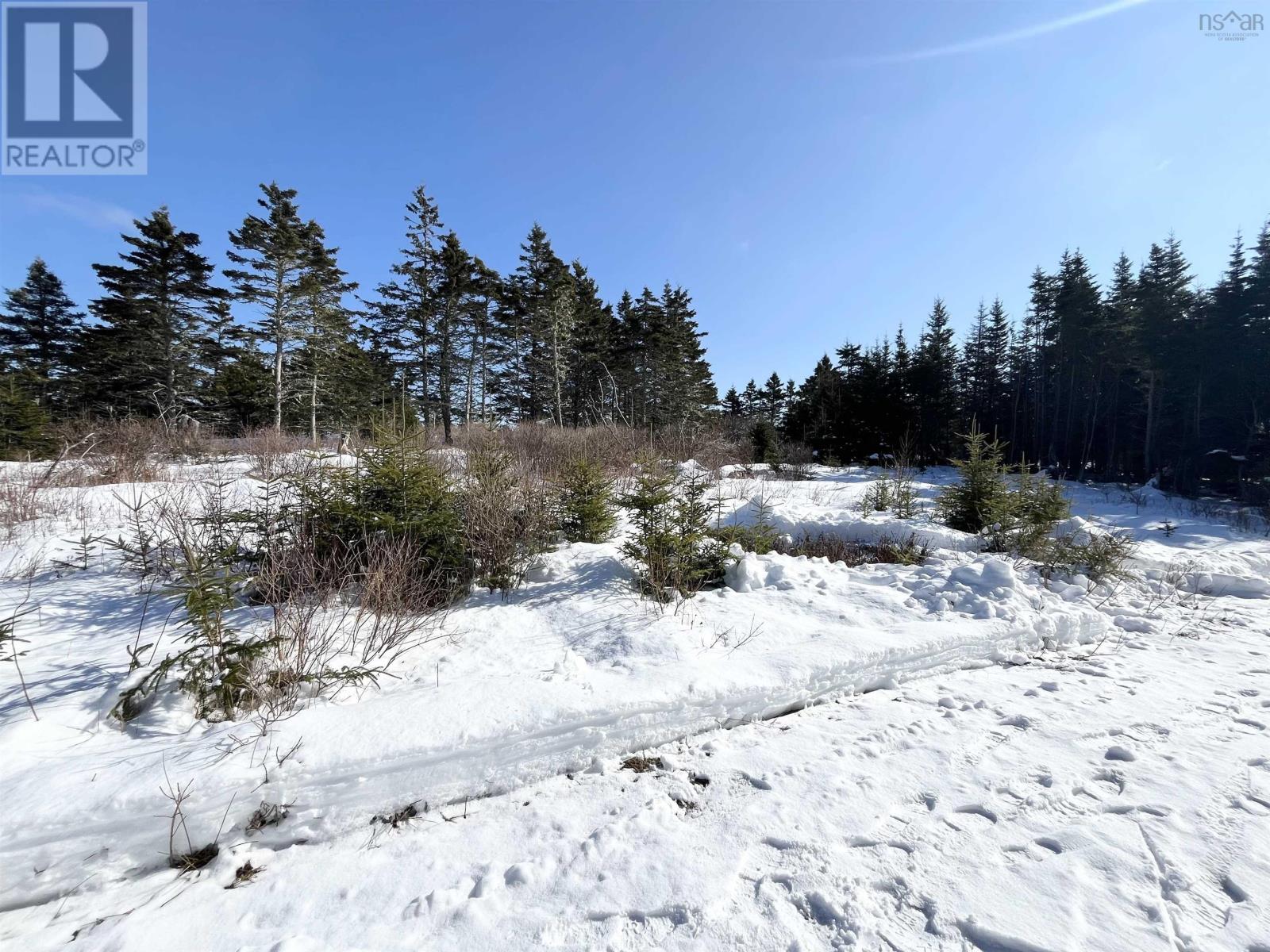 46 Shag Harbour Station Road, Shag Harbour, Nova Scotia  B0W 3B0 - Photo 5 - 202603064