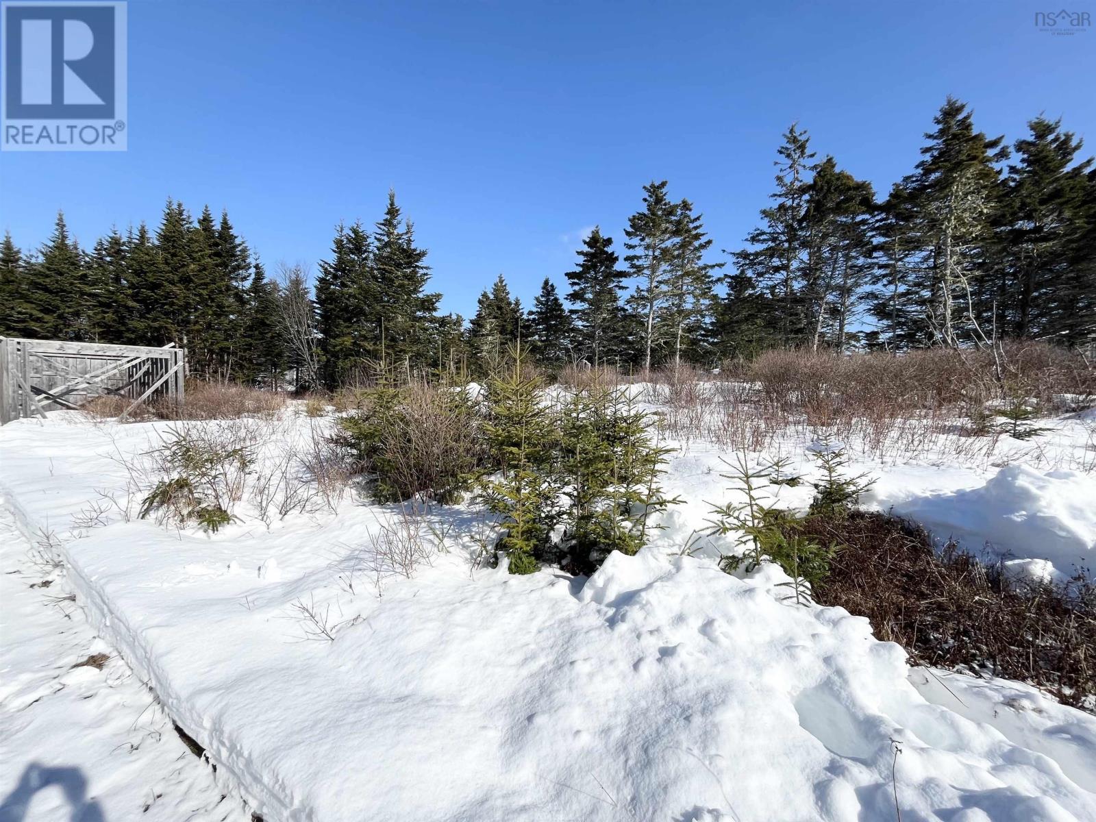 46 Shag Harbour Station Road, Shag Harbour, Nova Scotia  B0W 3B0 - Photo 6 - 202603064