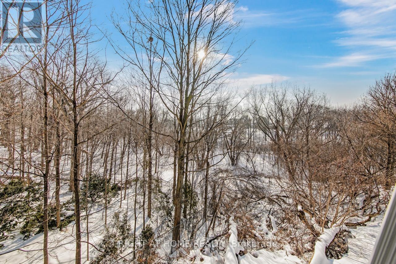 397 Maple Leaf Drive, Toronto, Ontario  M6L 1P4 - Photo 37 - W12802854