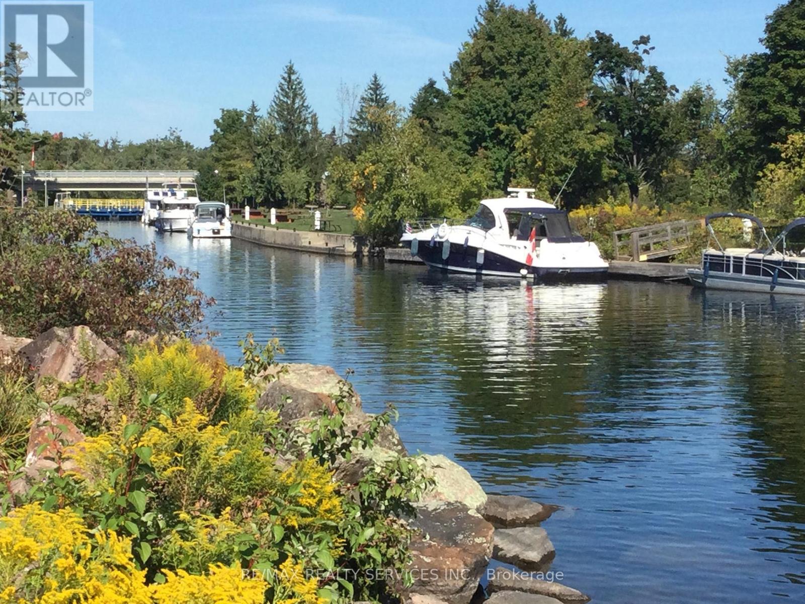 1925 Lakehurst Road, Trent Lakes, Ontario  K9J 6X2 - Photo 8 - X12802598