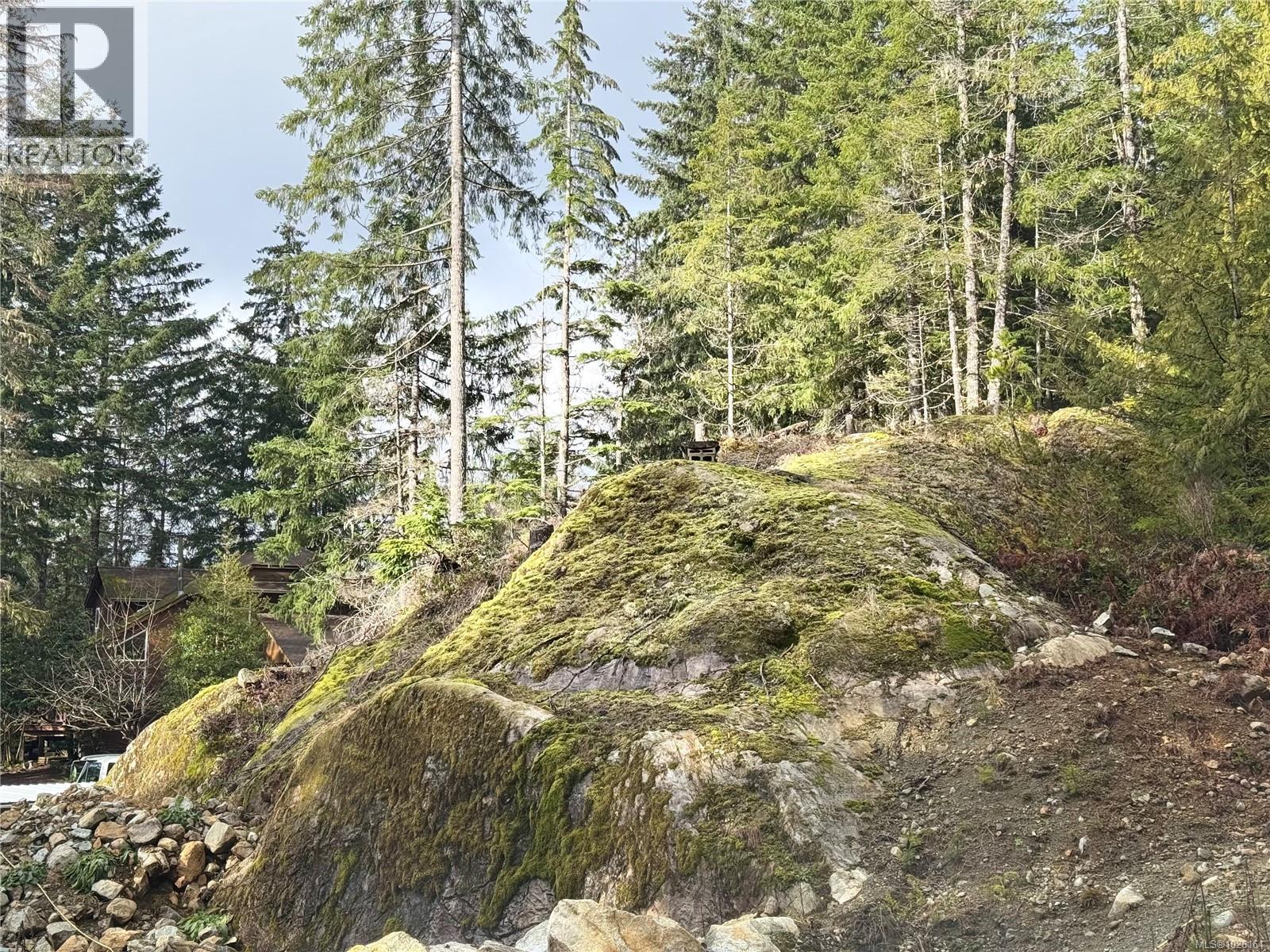 511 Burman Crt, Gold River, British Columbia  V0P 1G0 - Photo 11 - 1026164