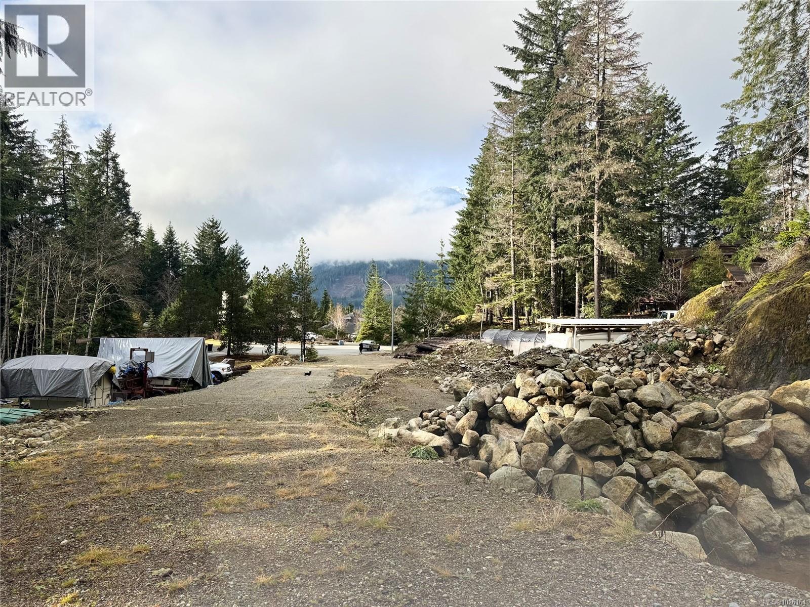 511 Burman Crt, Gold River, British Columbia  V0P 1G0 - Photo 23 - 1026164